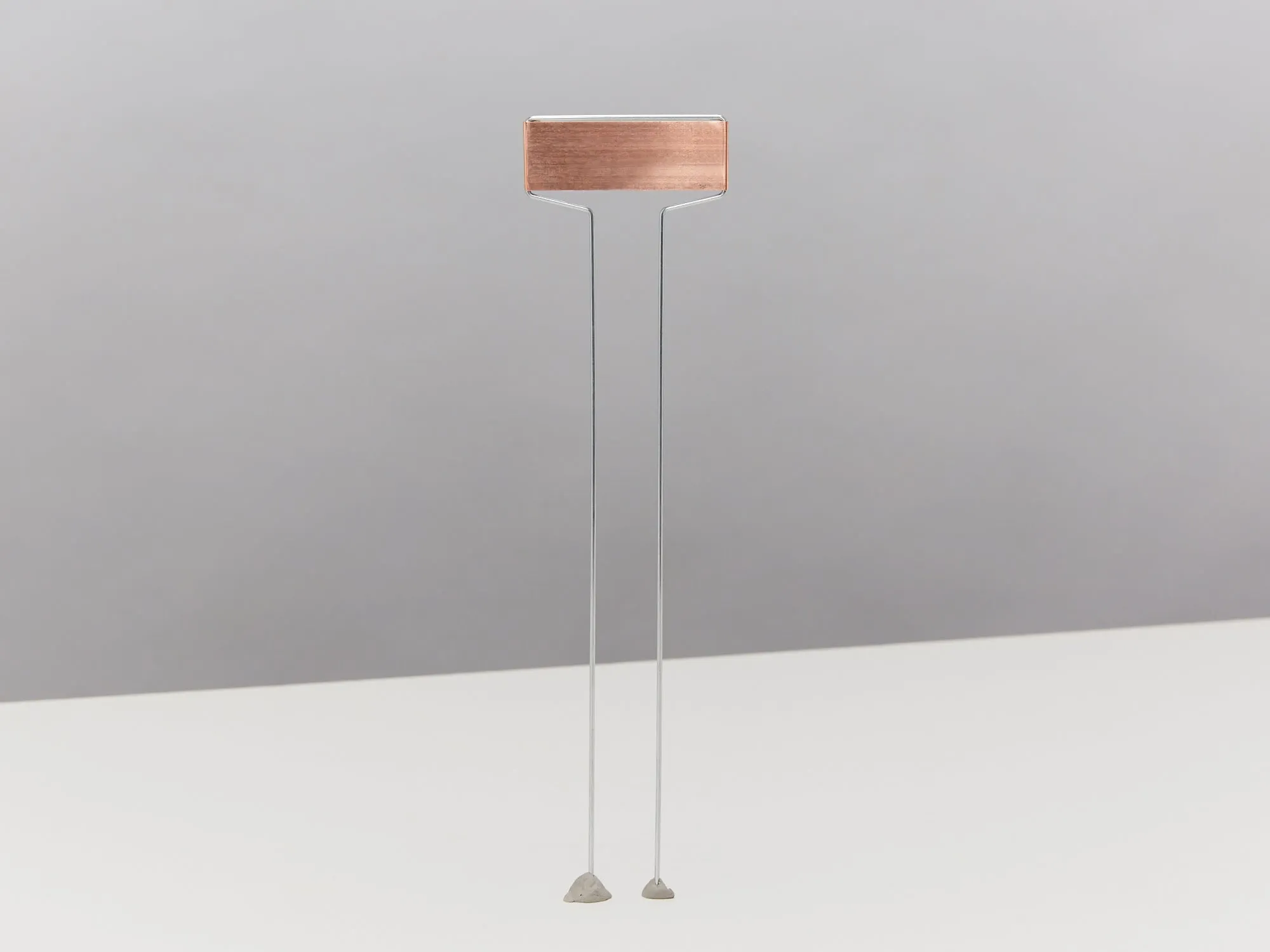 Copper Standing Plant Label