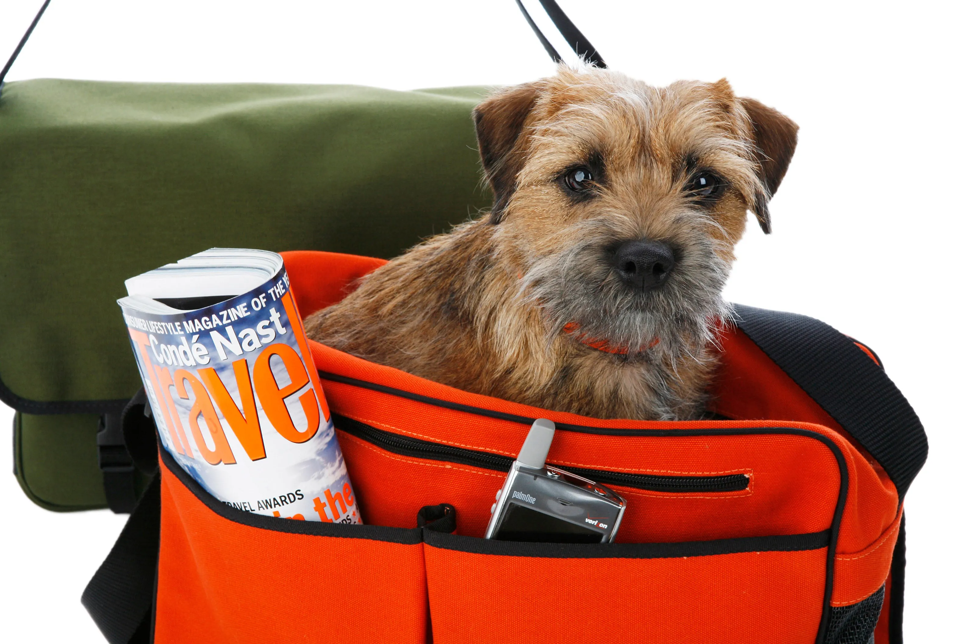 Dog Carrier - Messenger Bag - 5 Color Options