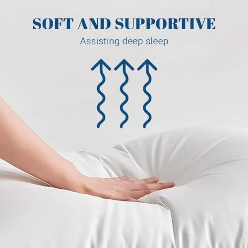 Perfect Sleeper 16x24 Inch Set of 2 Pillows, Soft Density for Stomach and Back Sleepers, Standard, Pack of 2, White, 41 x 61 cm - Plain White